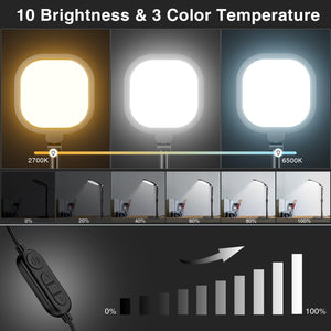 LitONES 2 Packs Video Conference Lights for Zoom Meeting, Podcast Lighting Kit for Working from Home Office, Desktop Video Light with Stand and Phone Holder CRI 97.8