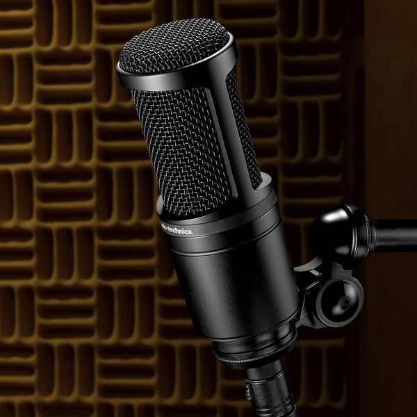 Audio-Technica AT2020 Cardioid Condenser Studio XLR Microphone, Ideal for Project/Home Studio Applications
