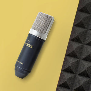 Marantz Professional MPM-1000 - Studio Recording XLR Condenser Microphone with Desktop Stand and Cable - For Podcast and Streaming Projects