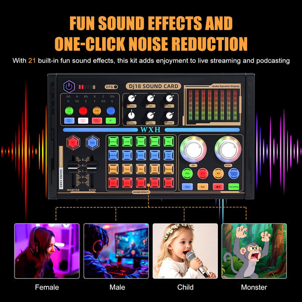 POWERFUEL Podcast Equipment Bundle DJ18 Live Sound Card with 4 Voice Changer, BM-800 Mircophone & Fill Light Recording Studio Kit for PC/Smartphone Podcasting, Gaming, Singing, Streaming